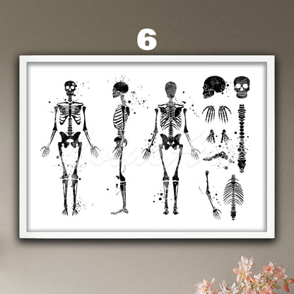 Human skeleton anatomy wall art in black and white, minimalist medical wall decor for doctor office & anatomical clinic gift