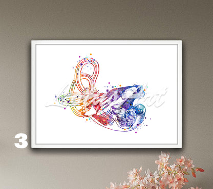 Cochlea Anatomy Watercolor Art Print – Inner Ear Medical Poster & Audiologist Gift