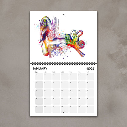 2026 anatomy wall calendar inner-ear monthly pages with anatomy watercolor art, doctor gift