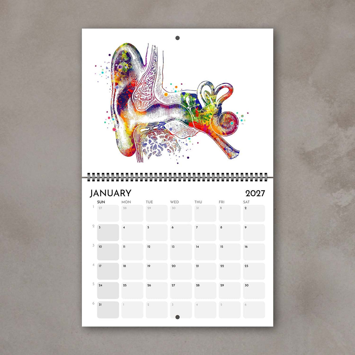 2027 anatomy wall calendar inner-ear monthly pages with anatomy watercolor art, doctor gift