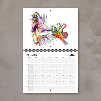 2027 anatomy wall calendar inner-ear monthly pages with anatomy watercolor art, doctor gift