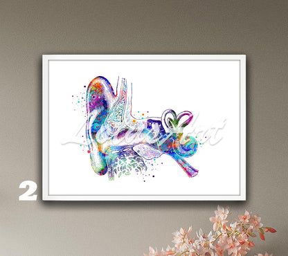 Art print of cochlea inner and outer ear anatomy watercolor painting – audiology medical wall decor.