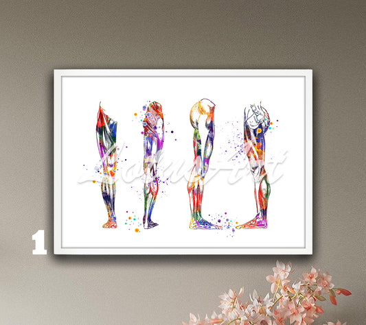 Anatomy art print of human leg muscles, multicolor watercolor medical wall decor, best doctor office gift.