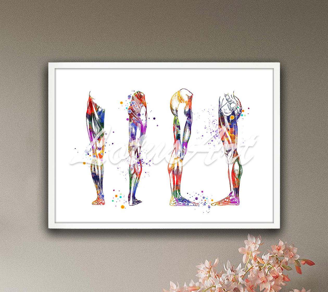 Leg muscles anatomy art print four views in vibrant watercolor tones - medical clinic wall decor