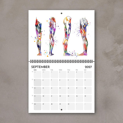 2027 medical wall calendar display leg muscles anatomy watercolor for clinic wall decor