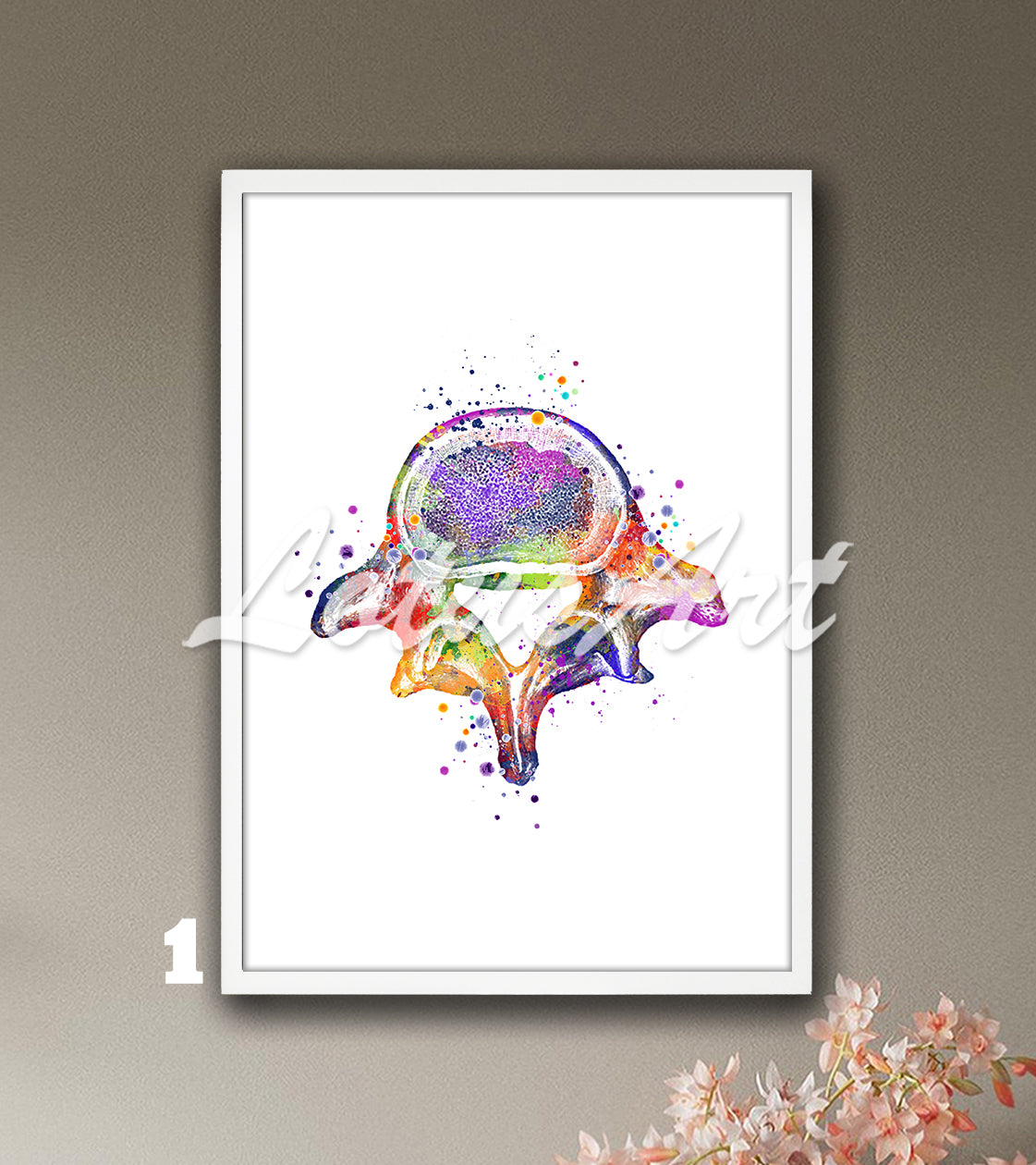 Art print of the lumbar vertebrae of the spine, detailed multi-color watercolor painting.