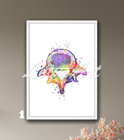 Art print of the lumbar vertebrae of the spine, detailed multi-color watercolor painting.