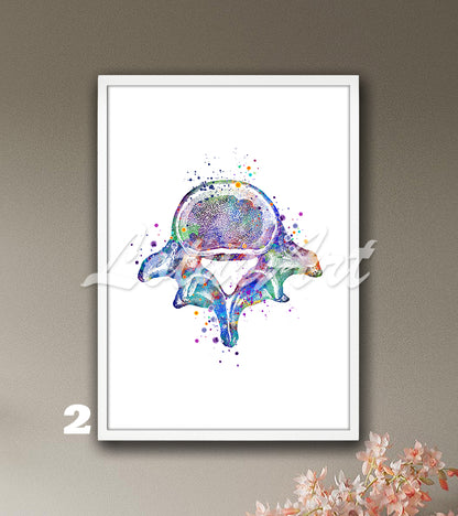 Lumbar vertebrae spine anatomy watercolor art poster in blue-purple tones, medical wall decor for clinics & doctors gift