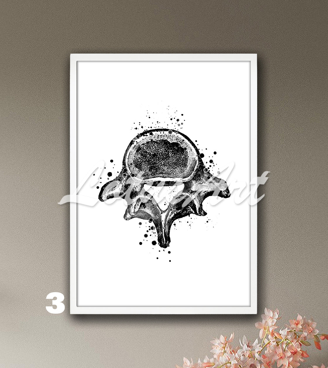 Lumbar vertebrae spine anatomy watercolor wall art print in black and white, medical wall decor for clinics & doctors gift