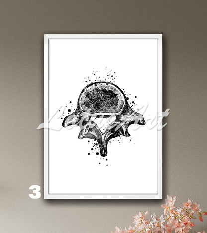 Lumbar vertebrae spine anatomy watercolor wall art print in black and white, medical wall decor for clinics & doctors gift