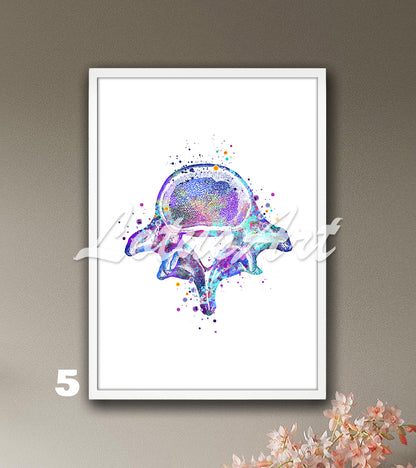 Lumbar vertebrae spine anatomy watercolor painting in blue-purple, medical wall art decor for clinics & doctors office gift