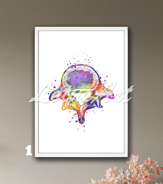 Lumbar vertebrae spine anatomy watercolor art print in multicolor, medical wall decor for clinics & doctors office gift