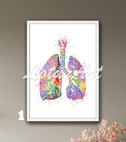 Art print showing lungs anatomy - watercolor painting for medical science in multicolor.