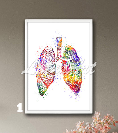 Art print depicting lungs anatomy - multicolor watercolor painting for medical science.