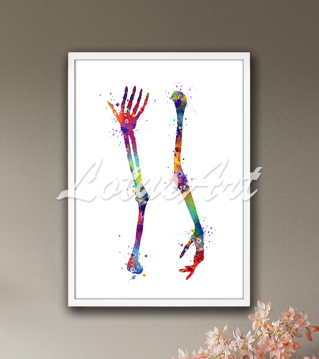 Multicolor arm bones anatomy humerus radius ulna with hand watercolor print - healthcare office artwork