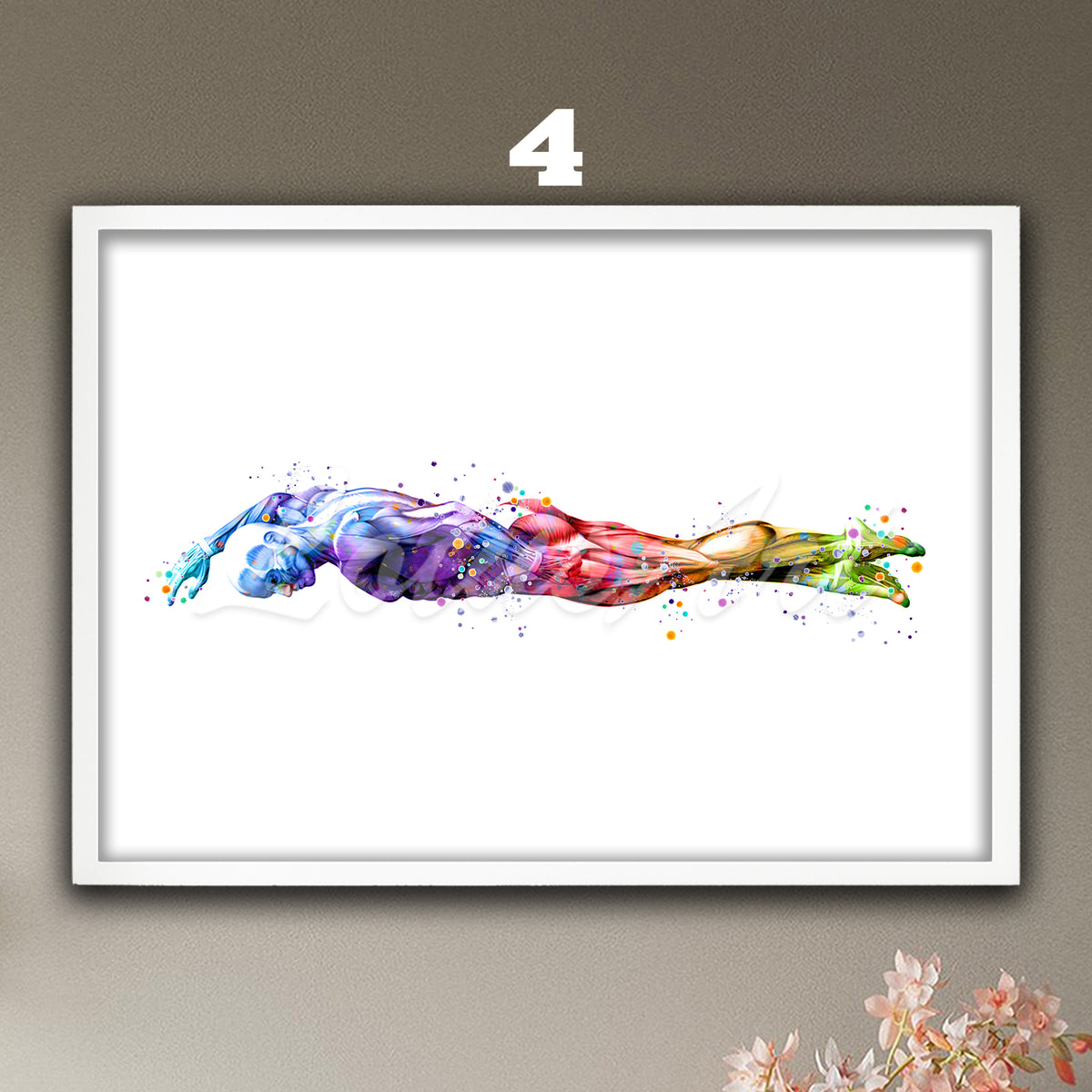 Swimmer body muscles anatomy watercolor artwork in rainbow tones, medical sports wall decor & doctor office gift for clinics