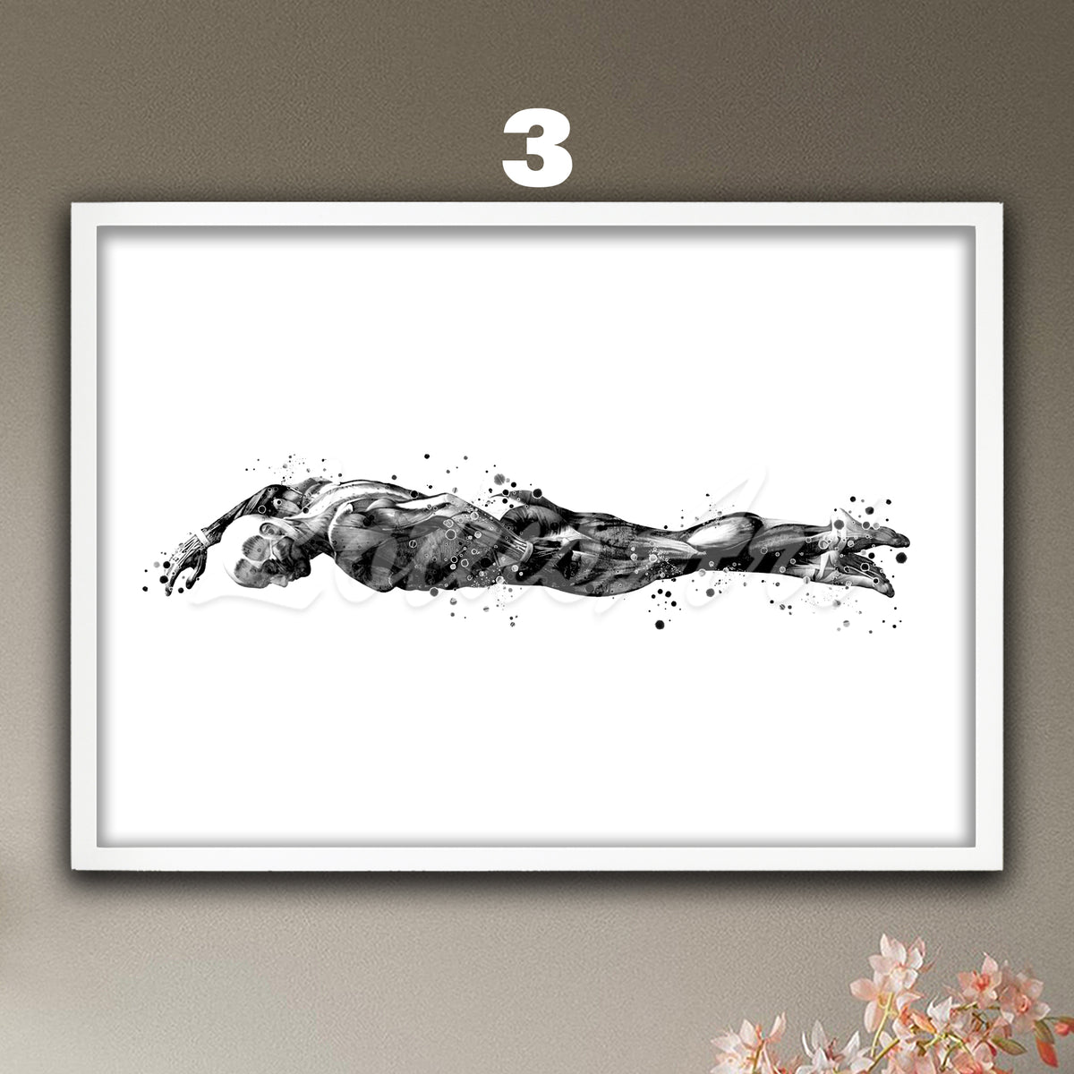 Swimmer body muscles anatomy watercolor poster in black and white, medical sports art print & doctor and swim clinics decor