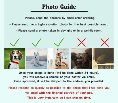 Photo guide for custom watercolor pet portrait order, how to send pet photo for best result