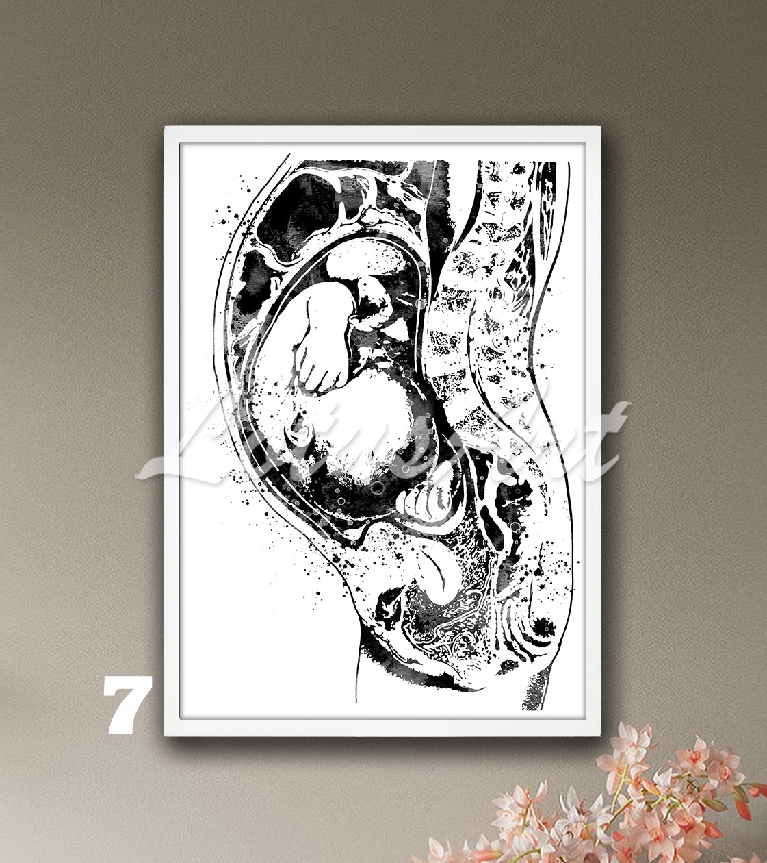 Pregnancy anatomy fetus watercolor print in black and white, baby in womb medical wall decor & expecting mom gift
