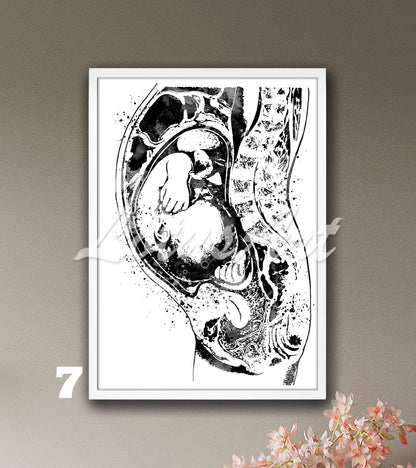 Pregnancy anatomy fetus watercolor print in black and white, baby in womb medical wall decor & expecting mom gift