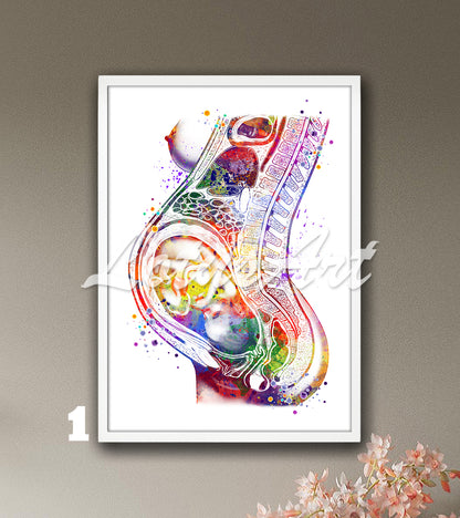 Art print of a detailed and beautiful multi-color watercolor painting showing a fetus in the womb during pregnancy.