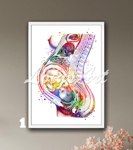 Art print of a detailed and beautiful multi-color watercolor painting showing a fetus in the womb during pregnancy.