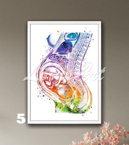 Art print of a detailed and beautiful watercolor painting showing a fetus in the womb during pregnancy in rainbow colors.