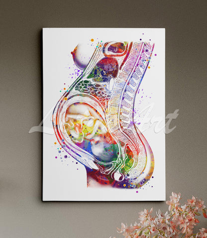Canvas art print of a detailed watercolor painting showing a fetus in the womb during pregnancy in multi-color.