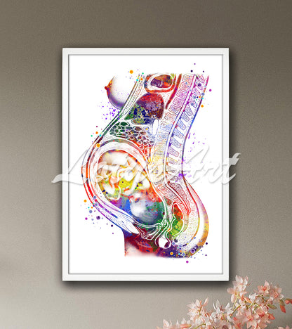 Pregnant woman with baby in womb anatomy colorful watercolor art print - midwife obstetrician clinic painting