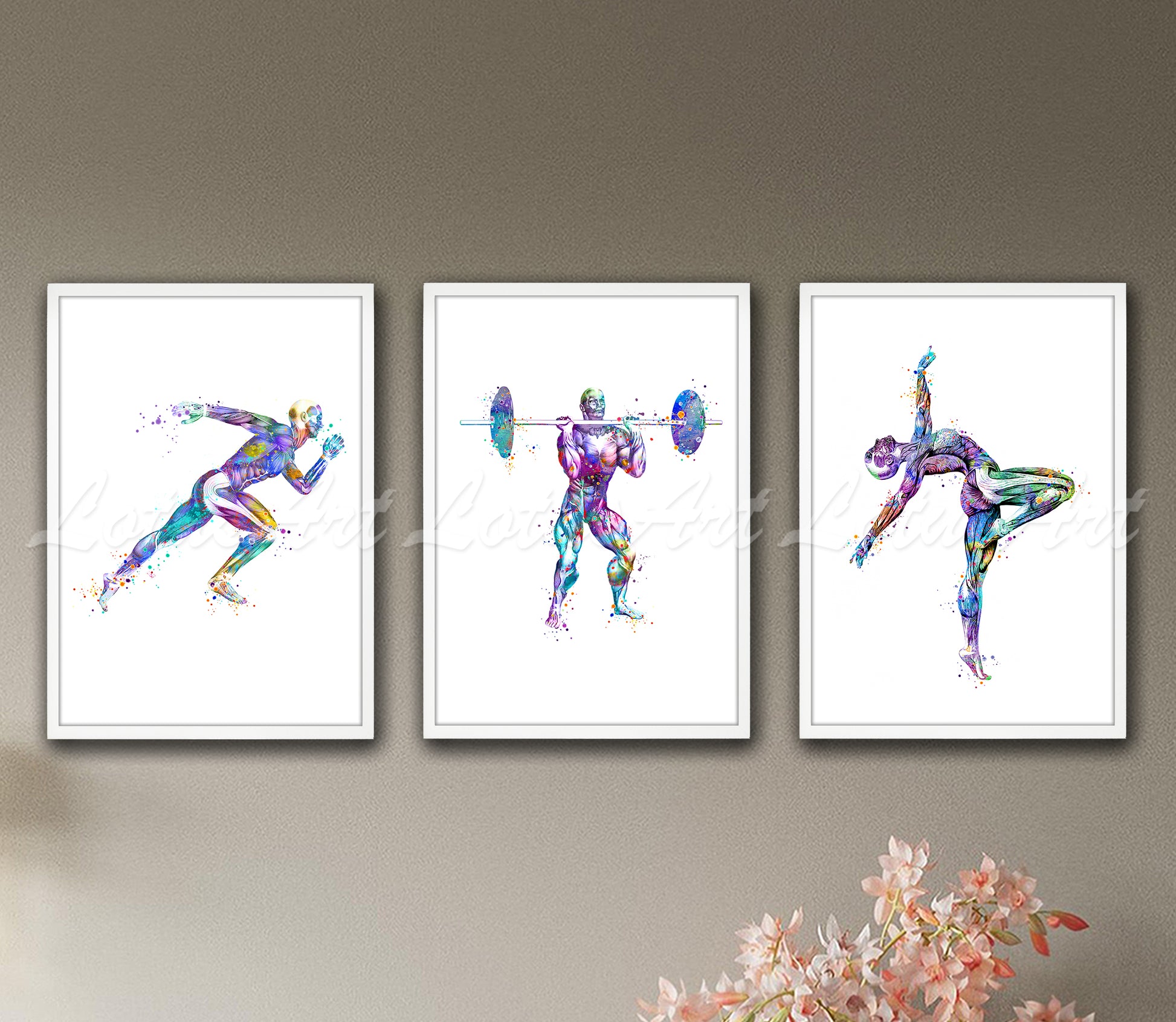 Set of 3 body muscles anatomy sports art prints in multicolor watercolor - runner, weightlifter, gymnast on wall