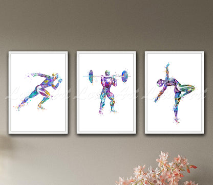 Set of 3 body muscles anatomy sports art prints in multicolor watercolor - runner, weightlifter, gymnast on wall