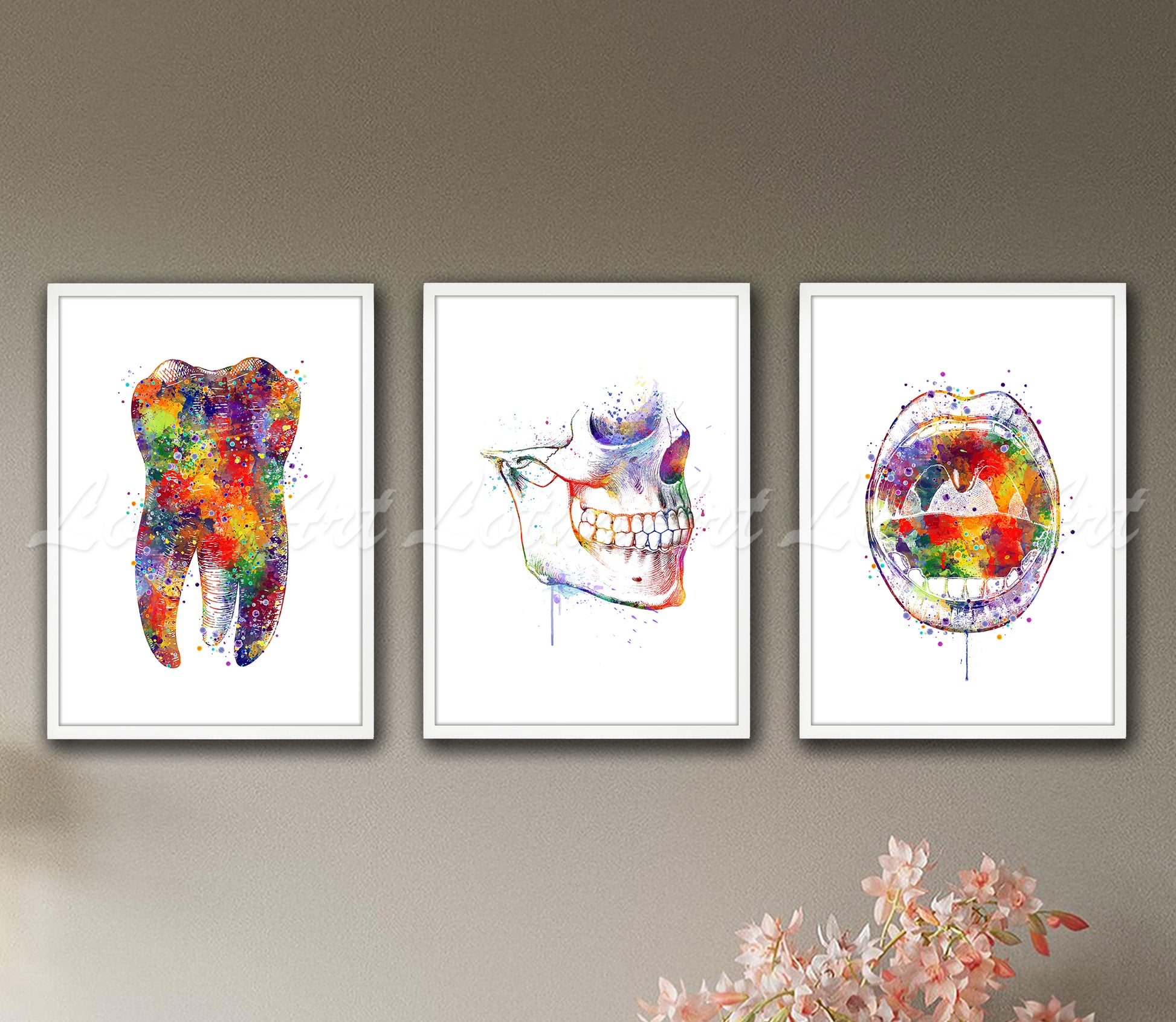 Set of 3 dental anatomy art prints in multicolor - tooth, skull, jaws watercolor posters on wall