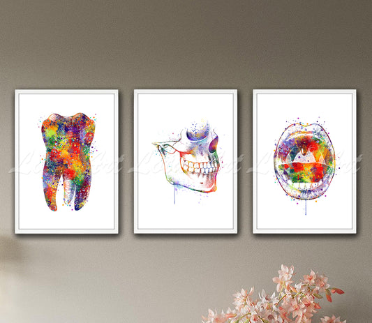 Set of 3 dental anatomy art prints in multicolor - tooth, skull, jaws watercolor posters on wall