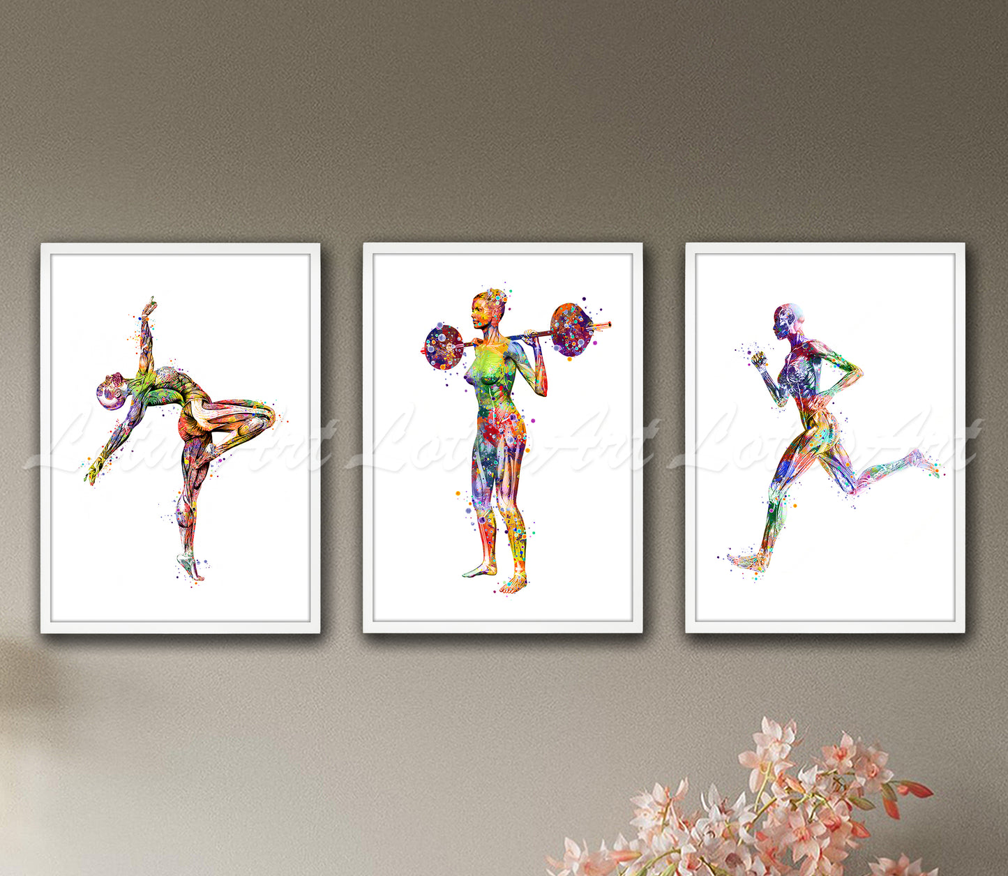 Set of 3 female body muscles anatomy sports art prints in multicolor watercolor - gymnast, weightlifter, runner on wall
