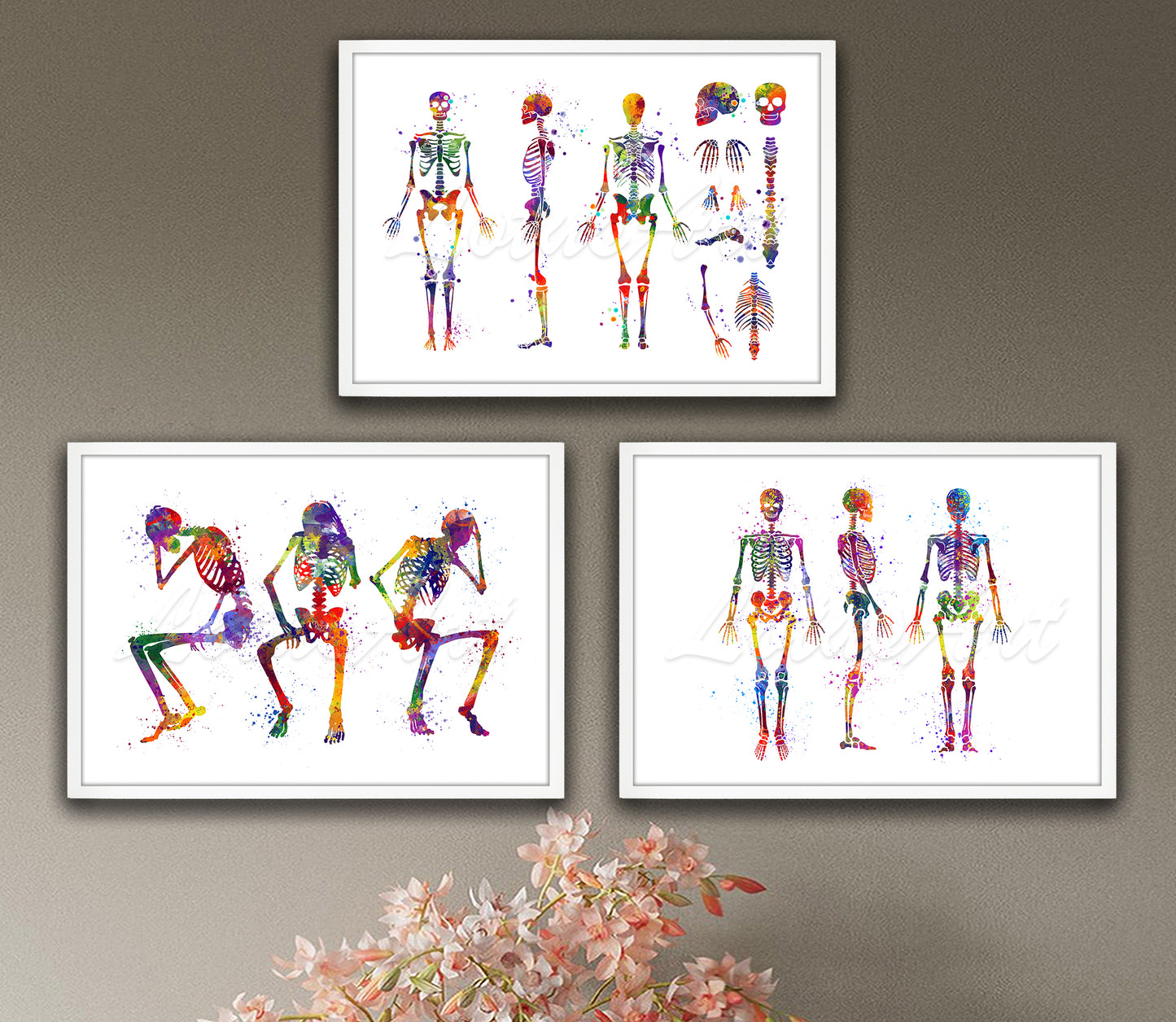Set of 3 human skeleton anatomy art prints in multicolor medical watercolor - full body bones on wall