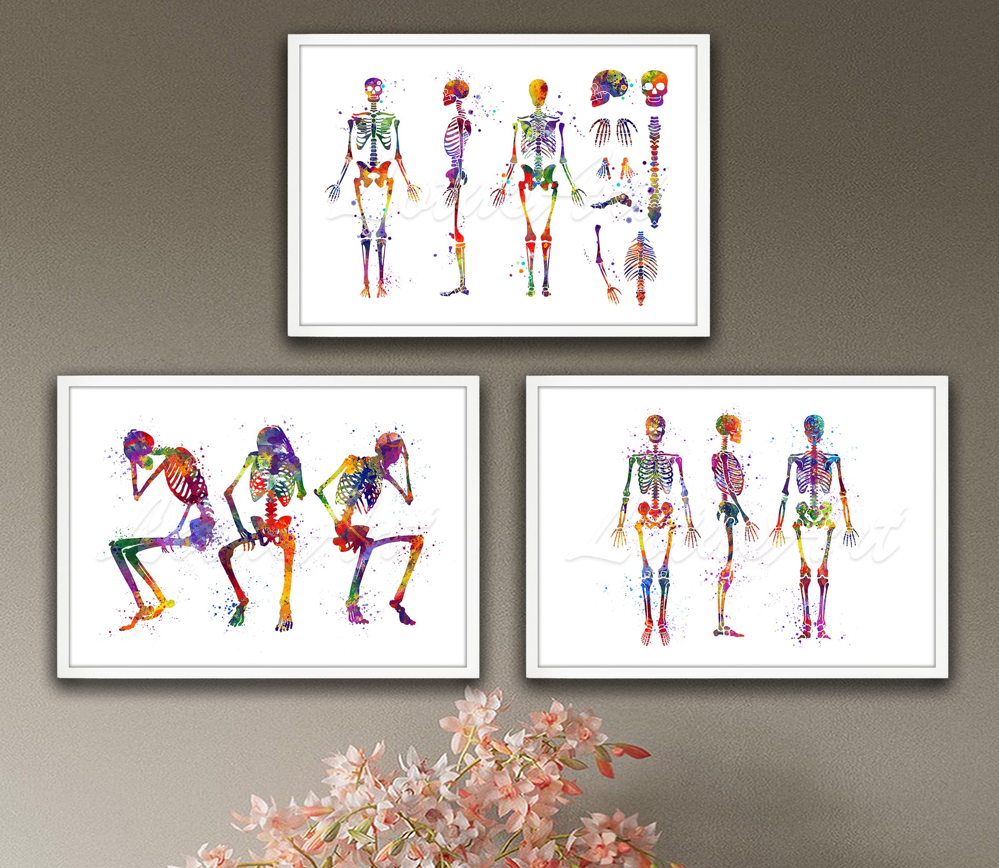 Set of 3 human skeleton anatomy art prints in multicolor medical watercolor - full body bones on wall