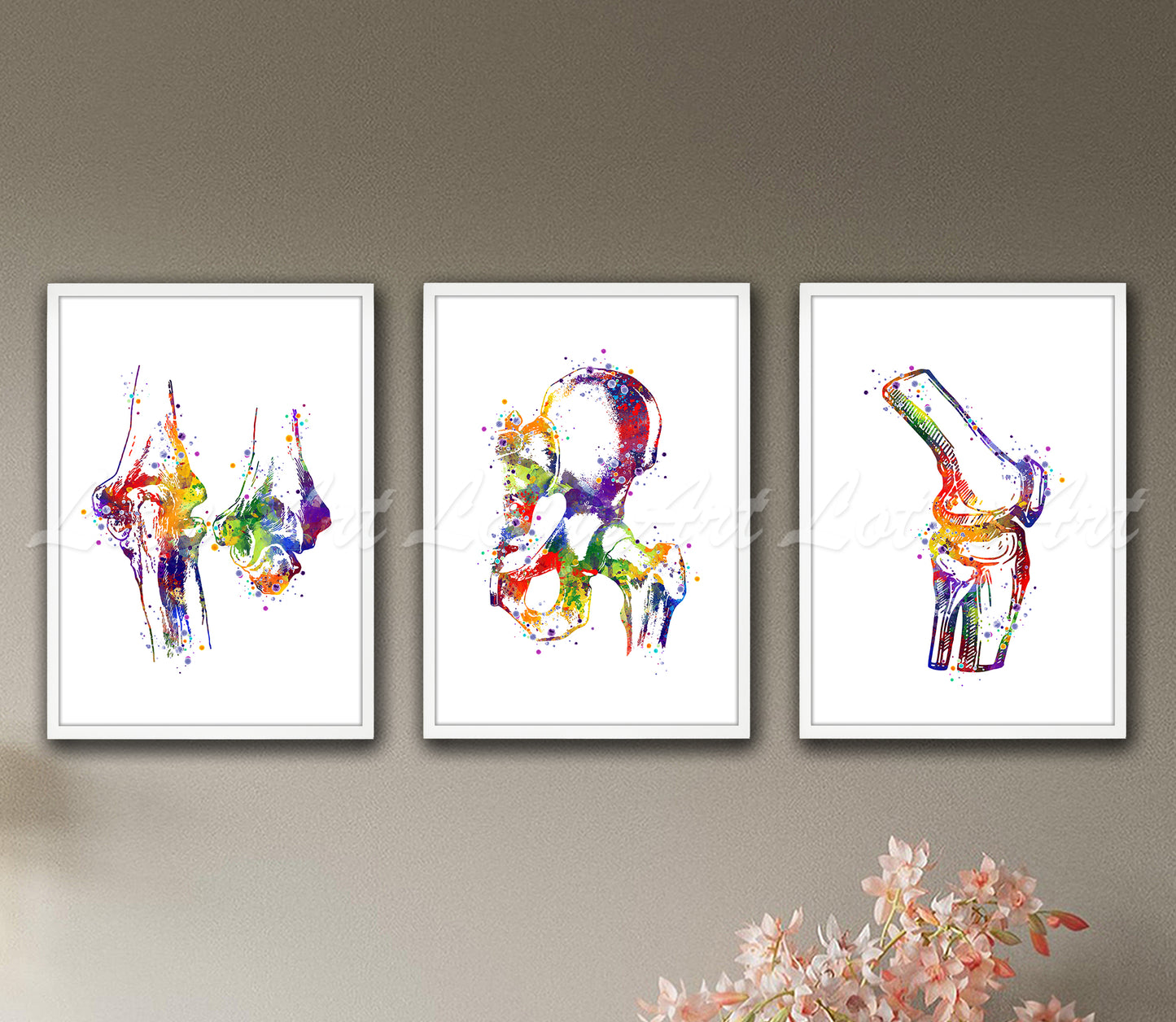 Set of 3 joints anatomy art prints in multicolor watercolor - knee, hip, elbow on wall