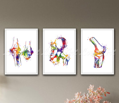 Set of 3 joints anatomy art prints in multicolor watercolor - knee, hip, elbow on wall