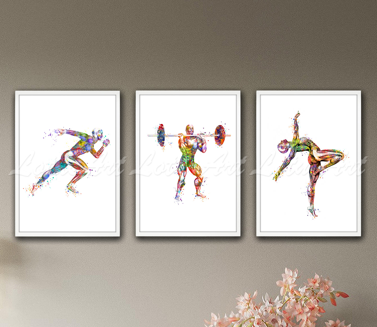 Set of 3 sports anatomy muscles art prints in multicolor - runner, weightlifter, gymnast watercolor medical posters