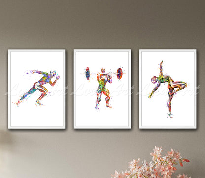 Set of 3 sports anatomy muscles art prints in multicolor - runner, weightlifter, gymnast watercolor medical posters
