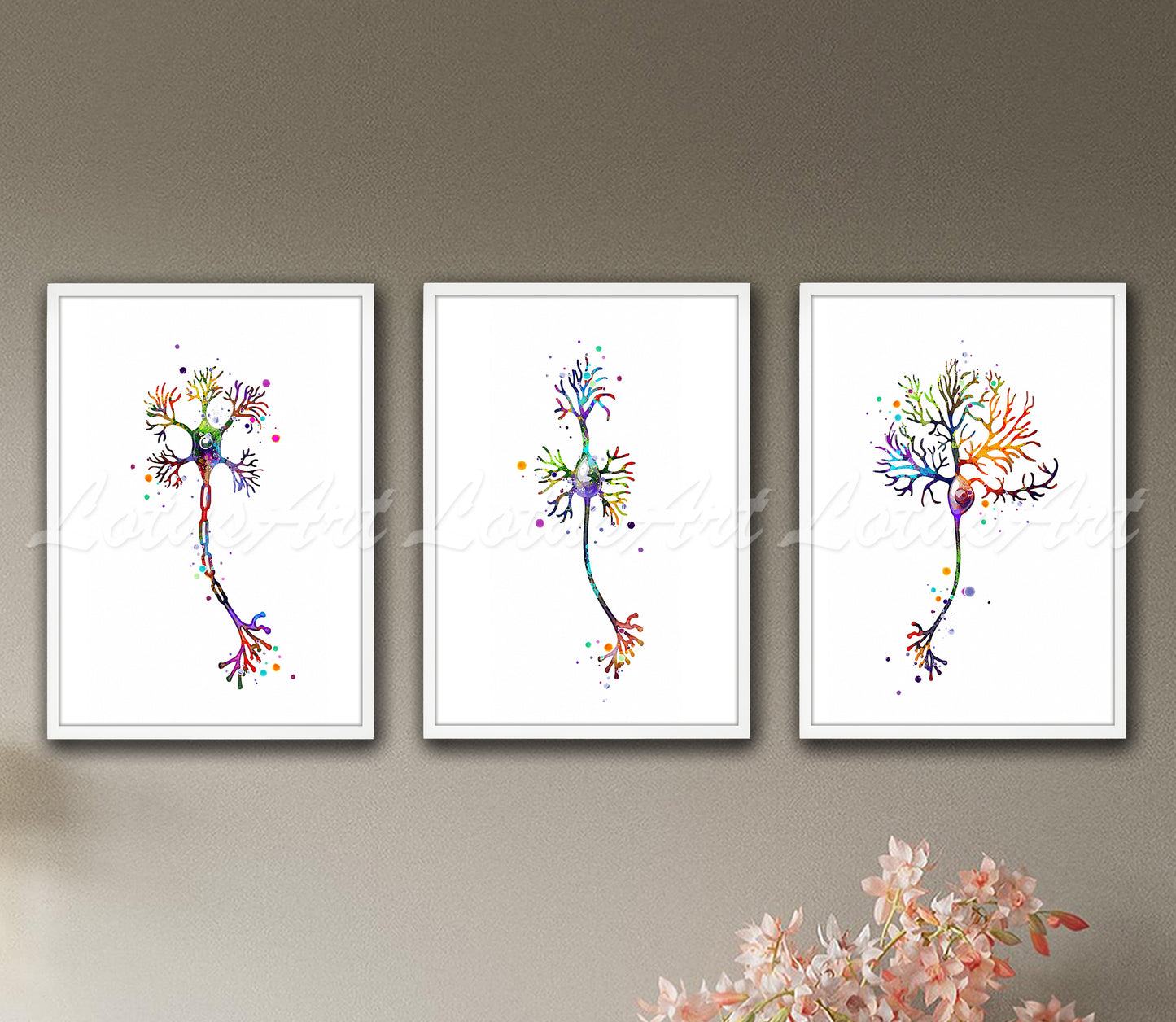 Set of 3 neuron cell anatomy art prints in multicolor watercolor - multipolar, motor, pyramidal neurons on wall