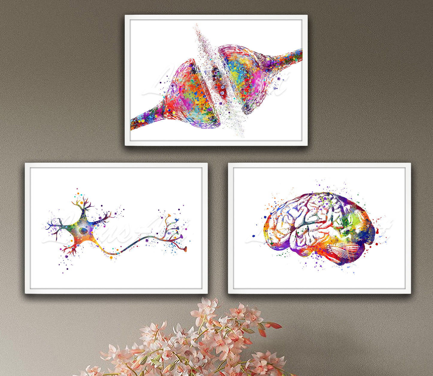 Set of 3 neuroscience art prints in multicolor watercolor - synapse, neuron, brain anatomy on wall