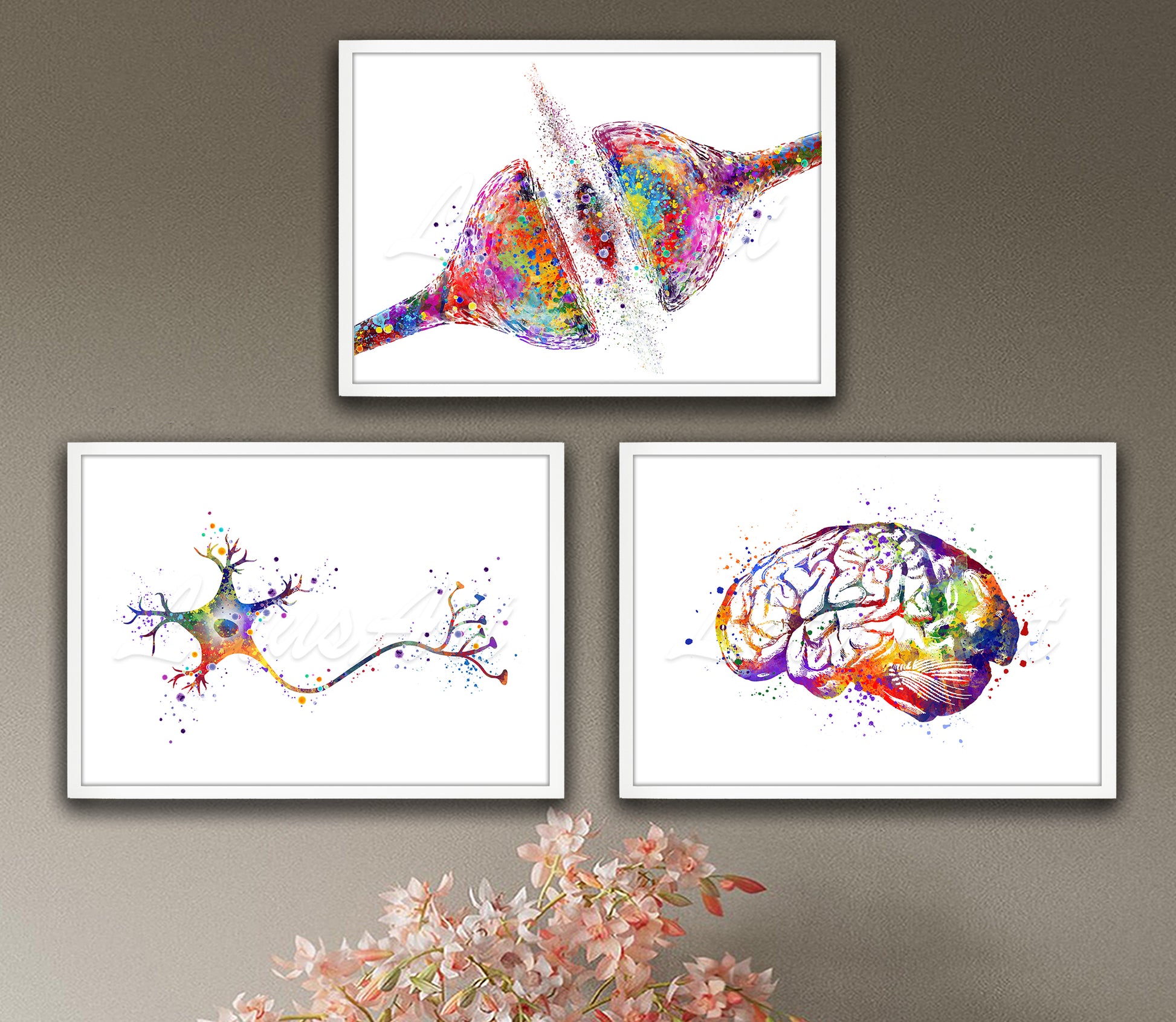 Set of 3 neuroscience art prints in multicolor watercolor - synapse, neuron, brain anatomy on wall