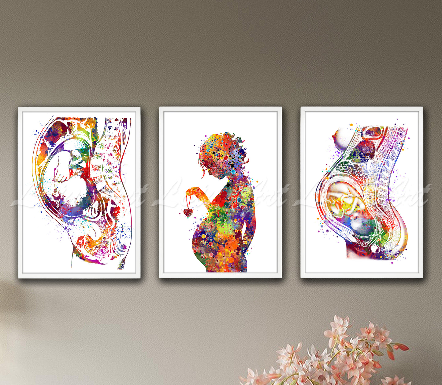 Set of 3 pregnancy anatomy art prints in multicolor watercolor - baby in womb on wall