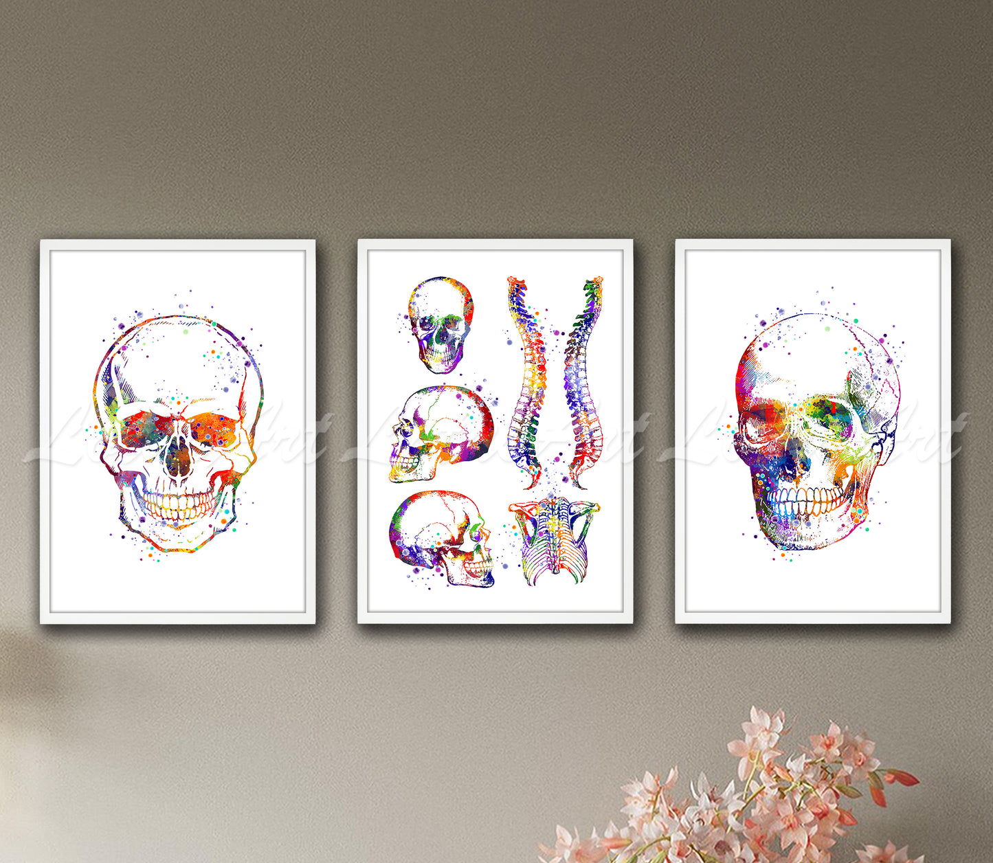 Set of 3 skull spine anatomy art prints in multicolor watercolor - skeleton, rib cage on wall