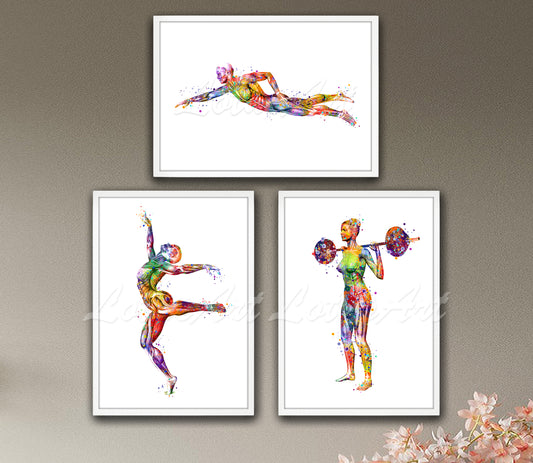 Set of 3 sports muscles anatomy art prints in multicolor watercolor - swimmer, gymnast, weightlifter on wall