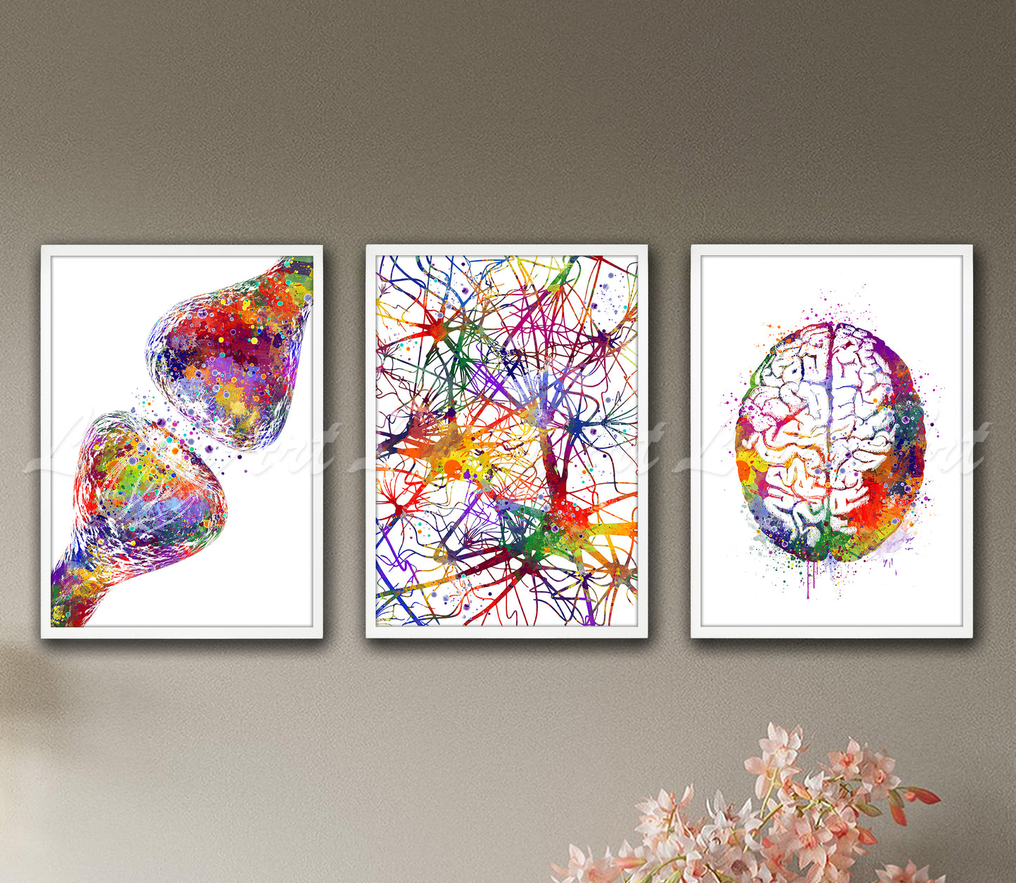 Set of 3 neuroscience art prints in multicolor watercolor - synapse receptors, neural network, brain anatomy on wall