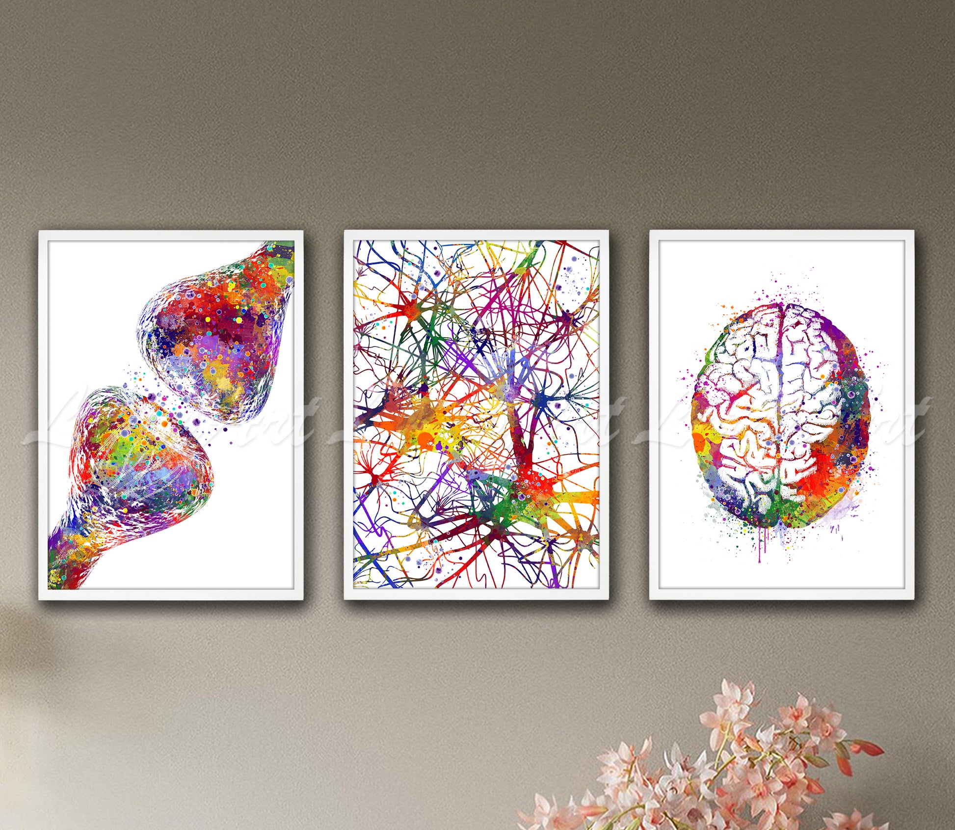 Set of 3 neuroscience art prints in multicolor watercolor - synapse receptors, neural network, brain anatomy on wall