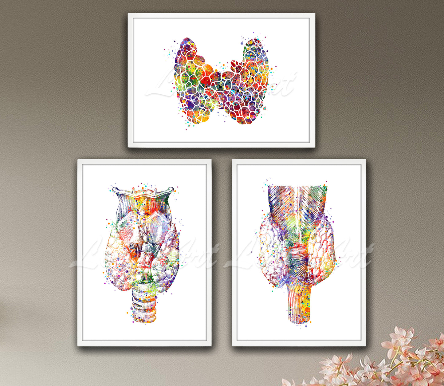 Set of 3 thyroid gland anatomy art prints in multicolor watercolor - front, lateral, and back views on wall