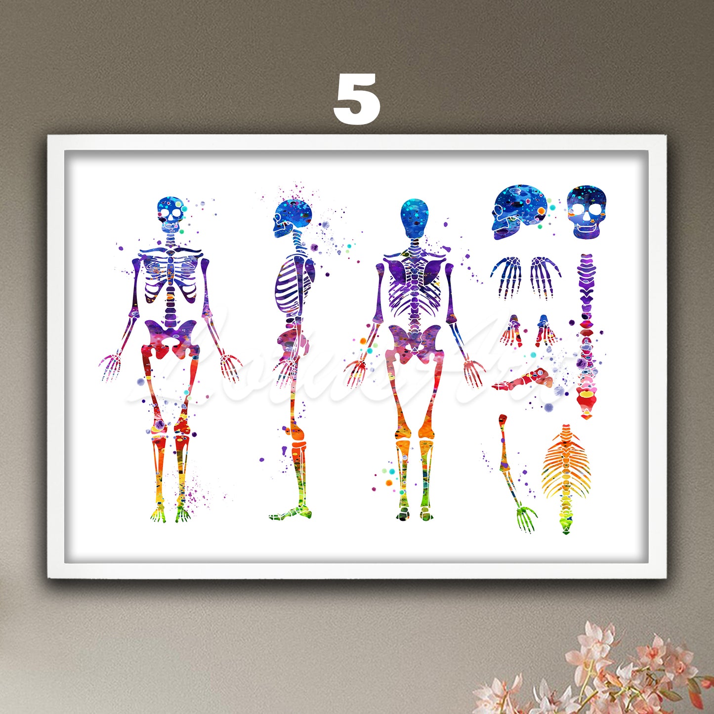 Art print of human skeleton anatomy, watercolor medical painting in rainbow colors of the skeletal system in details.